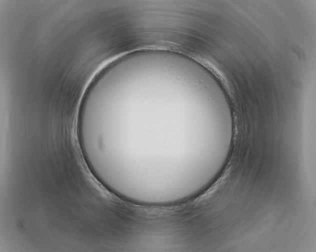 X0000112830940200910021219