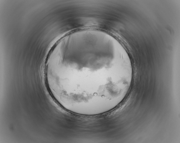 X0000112830941200910021220