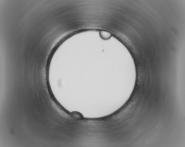 X0000112830942200910021220