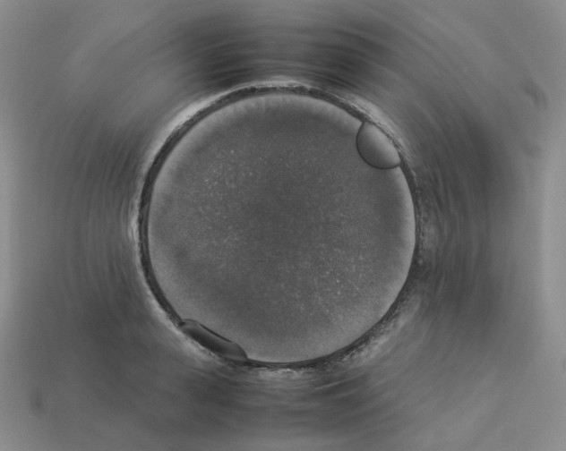 X0000112830943200910021220