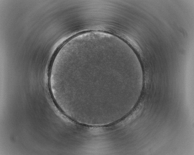 X0000112830944200910021220