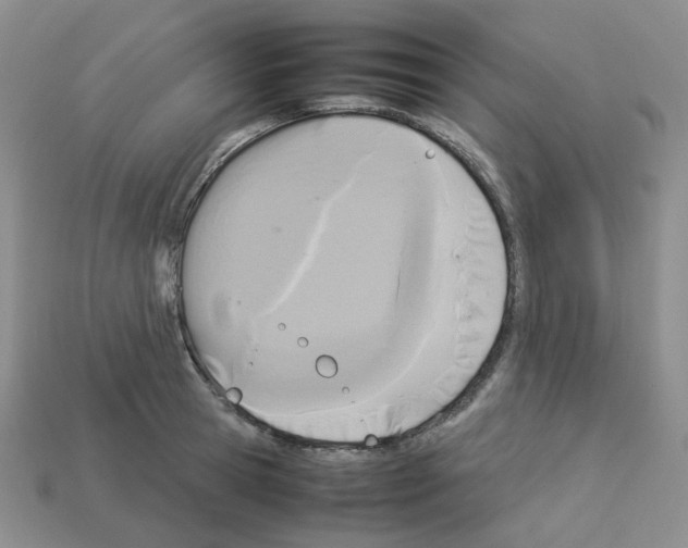 X0000112830945200910021220