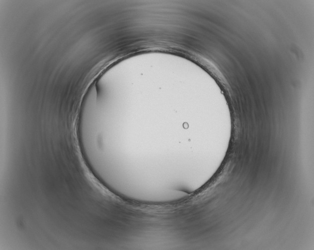 X0000112830946200910021220