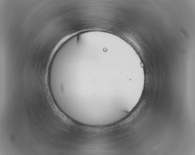 X0000112830948200910021220