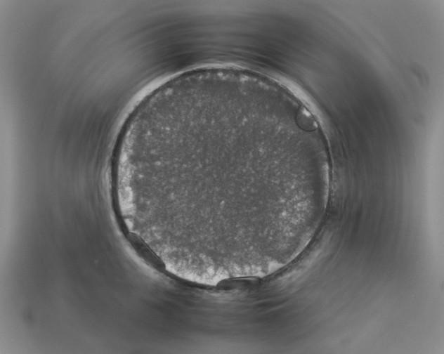 X0000112830951200910021220