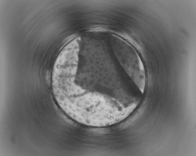 X0000112830953200910021220