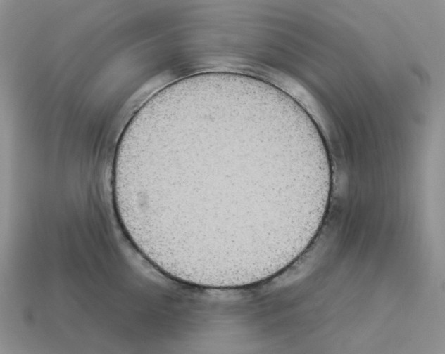 X0000112830954200910021220