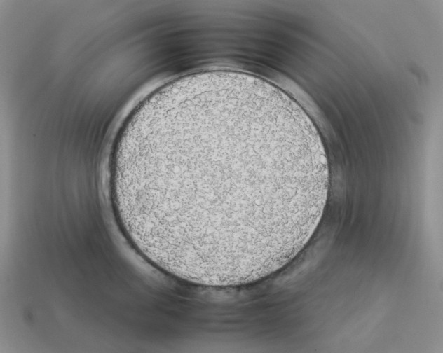 X0000112830955200910021220