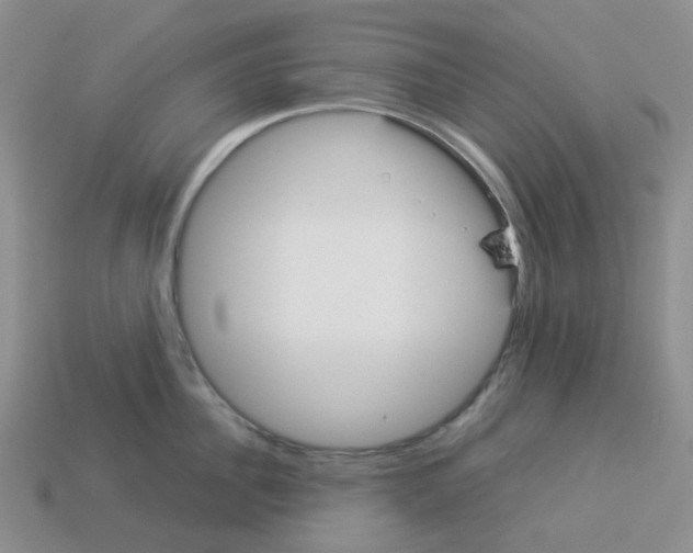 X0000112830956200910021220