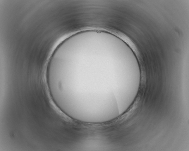 X0000112830958200910021220