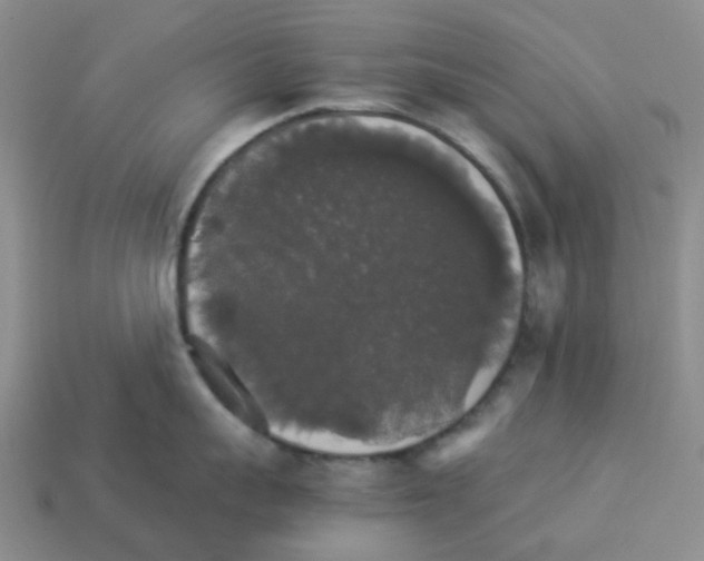 X0000112830959200910021220