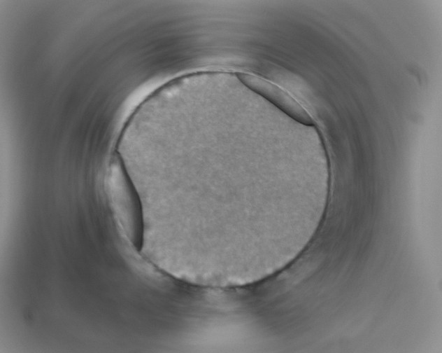 X0000112830960200910021220