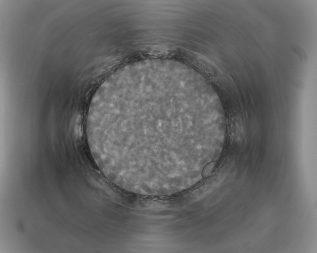 X0000112830962200910021219