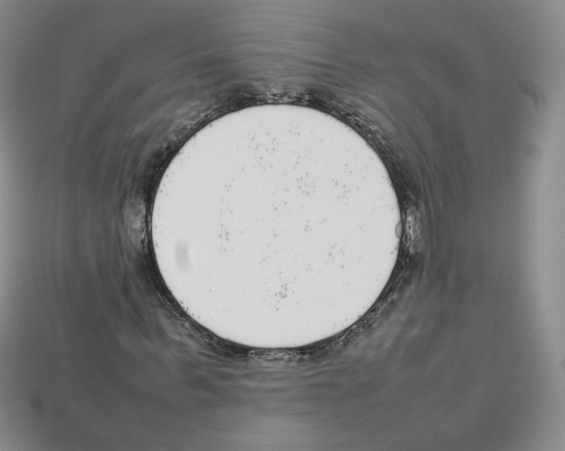 X0000112830963200910021219