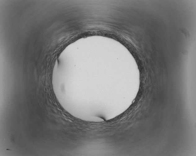 X0000112830965200910021219