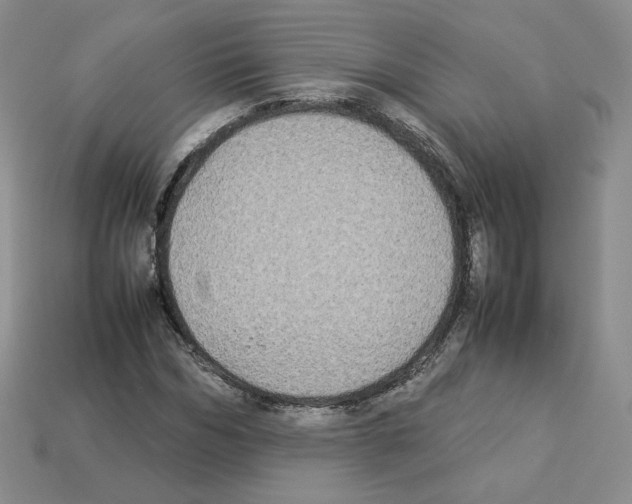 X0000112830970200910021219