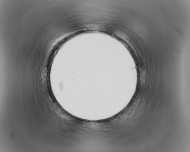 X0000112830971200910021219