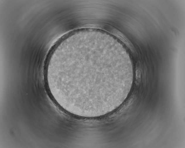 X0000112830972200910021219