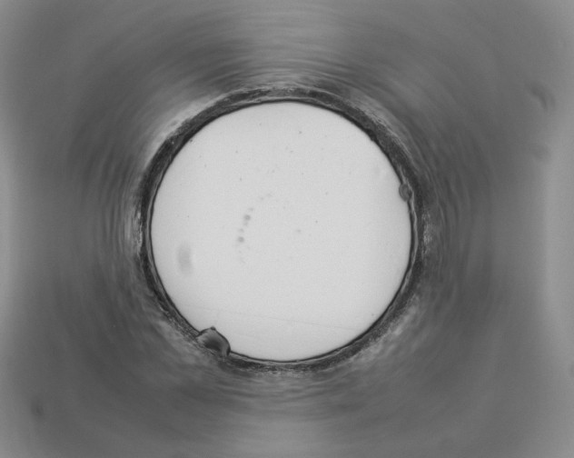 X0000112830973200910021219