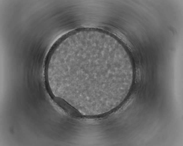 X0000112830976200910021219