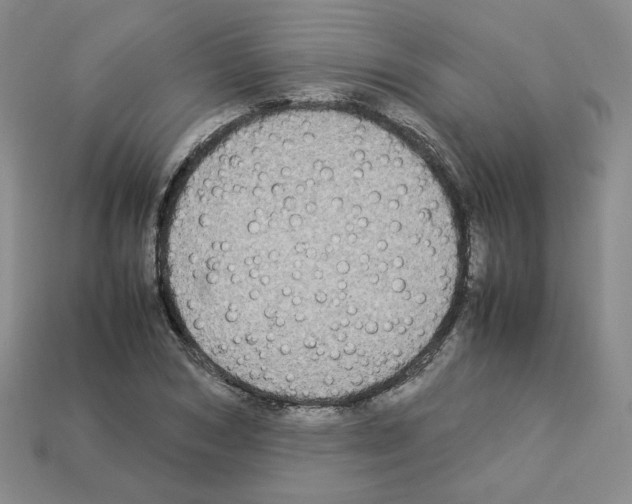 X0000112830978200910021219