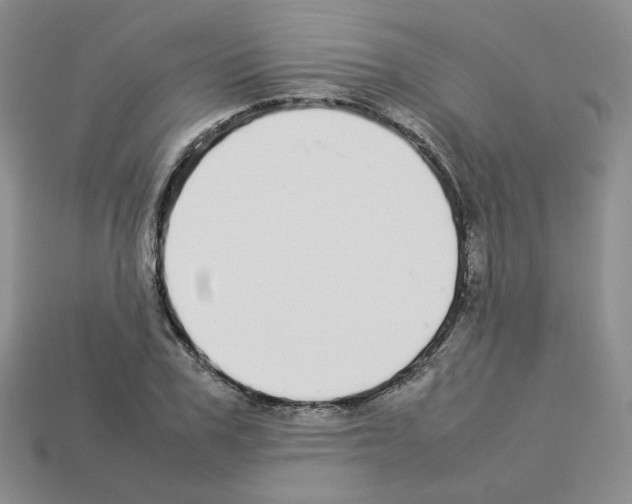 X0000112830979200910021219