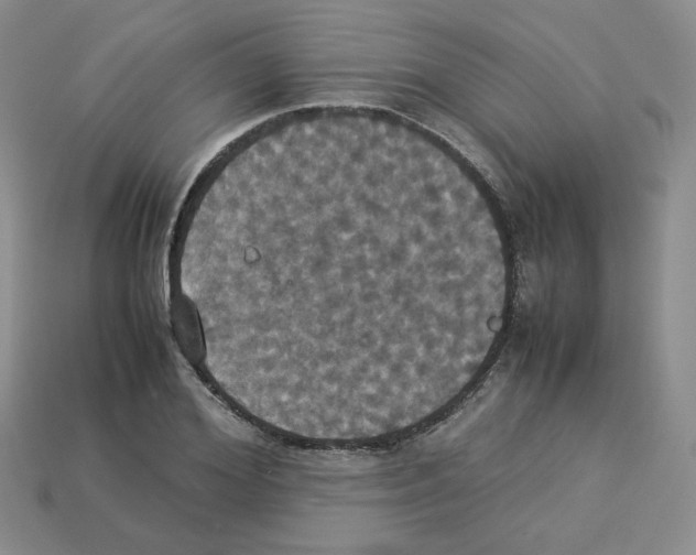 X0000112830980200910021219