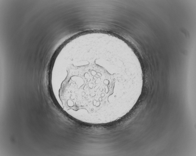 X0000112830983200910021219