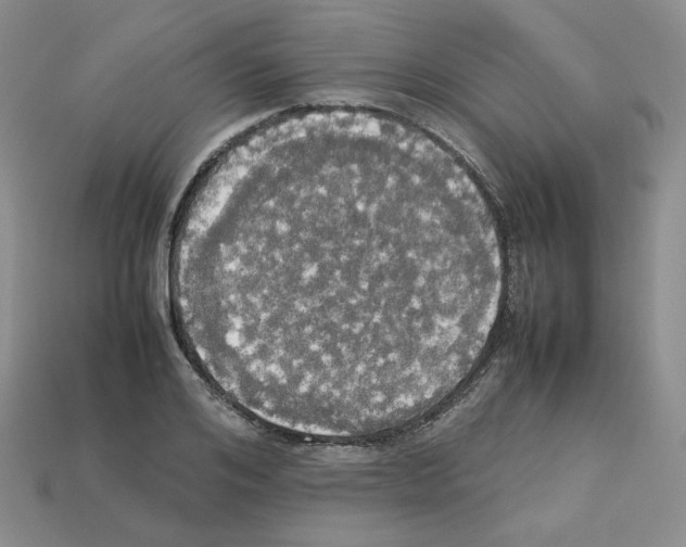 X0000112830984200910021219