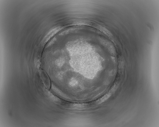 X0000112830985200910021219