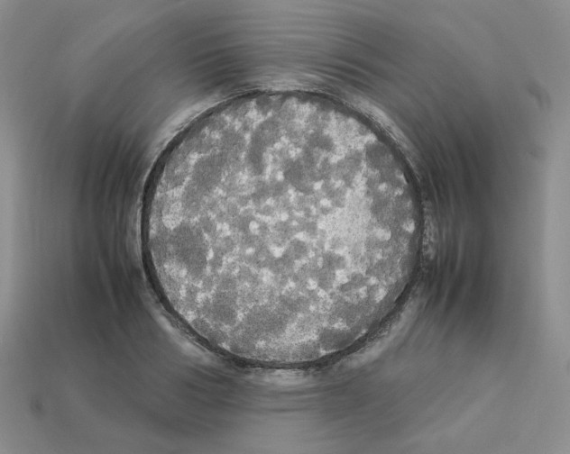 X0000112830986200910021219