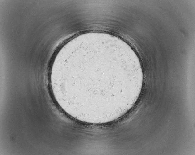 X0000112830987200910021219