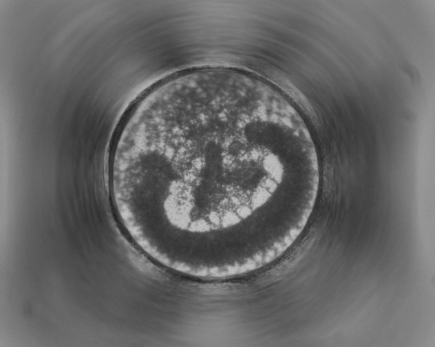 X0000112830988200910021219