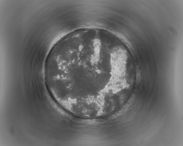 X0000112830990200910021219