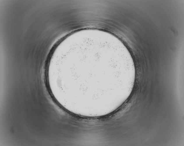 X0000112830991200910021219