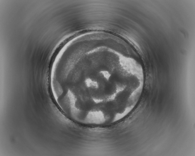 X0000112830992200910021219