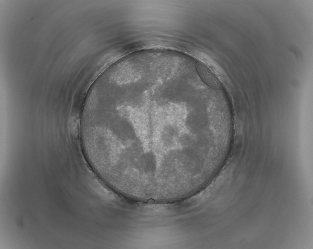 X0000112830993200910021219