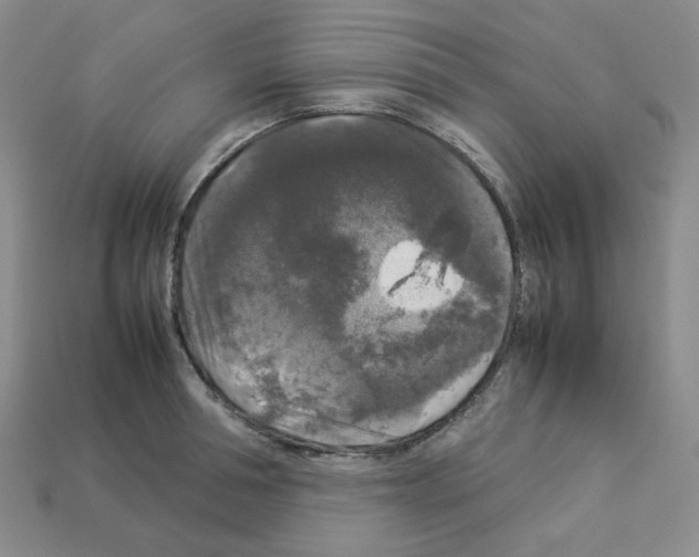 X0000112830994200910021219