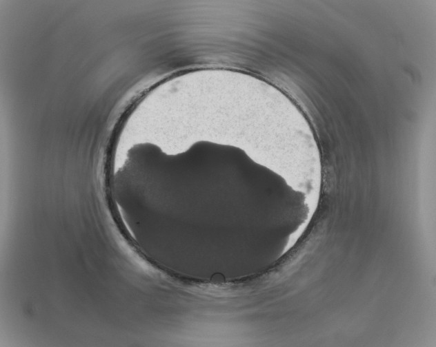 X0000112830995200910021219