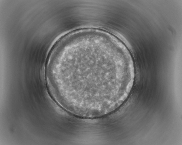 X0000112830996200910021219