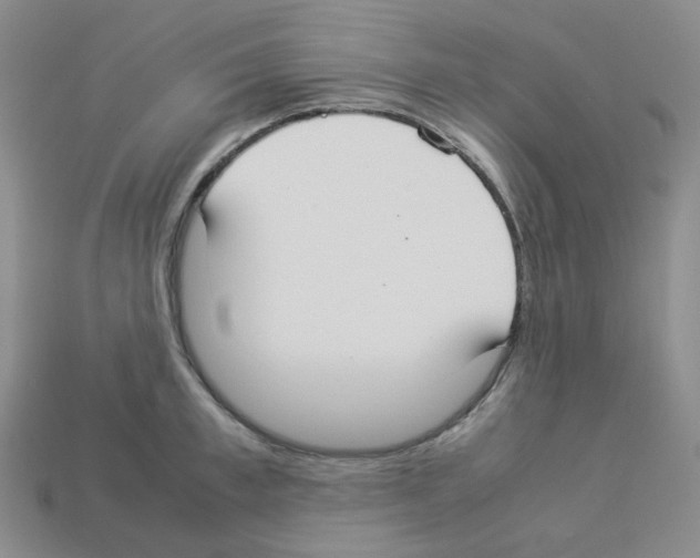 X0000112830997200910021219