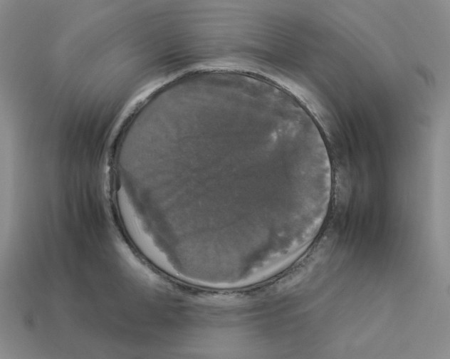 X0000112830998200910021219