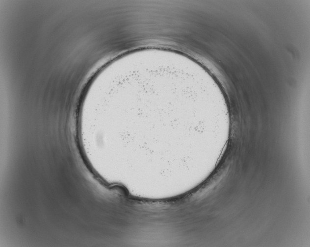 X0000112830999200910021219