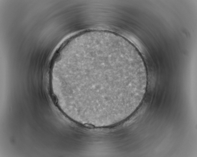 X0000112831000200910021219