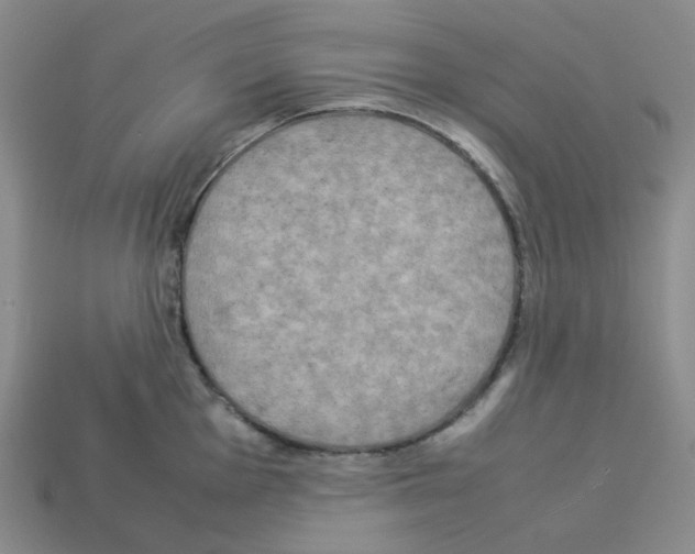 X0000112831001200910021219