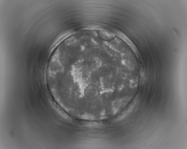 X0000112831002200910021219