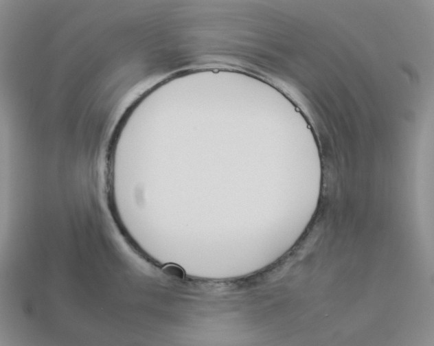 X0000112831003200910021219