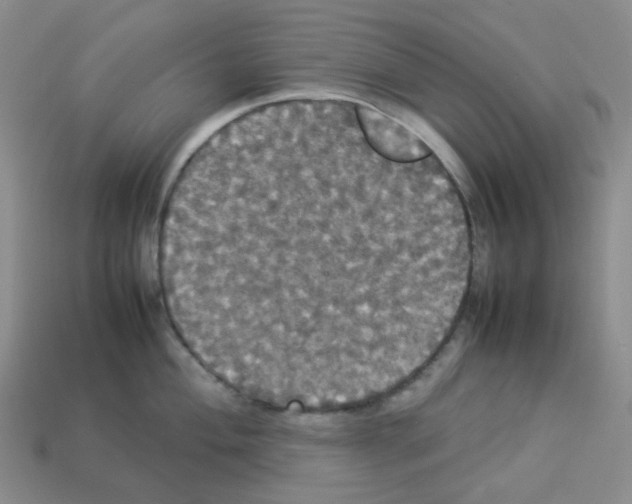 X0000112831004200910021219