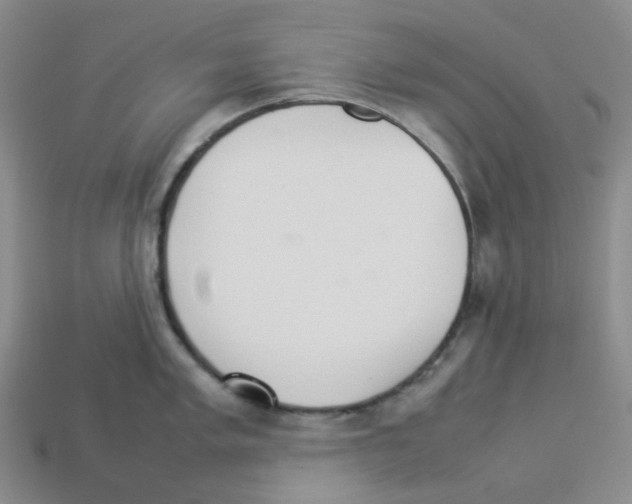 X0000112831005200910021219