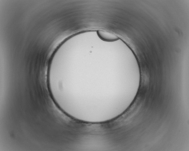 X0000112831006200910021219